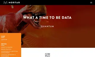 Preview of the Quantum Case Study