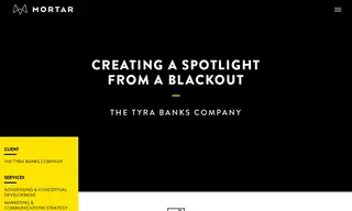 Preview of the Tyra Banks Case Study