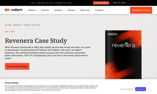 Preview of the Revenera Case Study