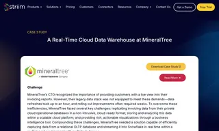 Preview of the MineralTree Case Study