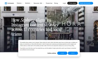 Preview of the Sephora Case Study