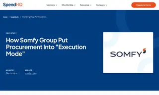 Preview of the SOMFY Group Case Study