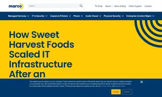 Preview of the Sweet Harvest Foods Case Study