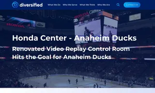 Preview of the Anaheim Ducks Case Study