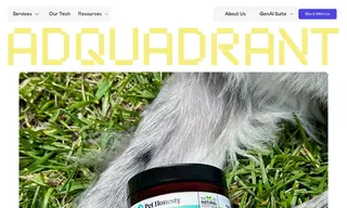 Preview of the Pet Honesty Case Study