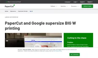 Preview of the Big W Case Study