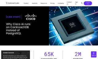 Preview of the Cisco Case Study