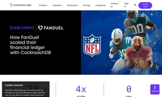 Preview of the FanDuel Case Study