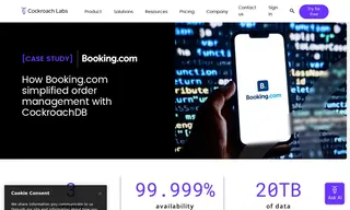 Preview of the Booking.com Case Study