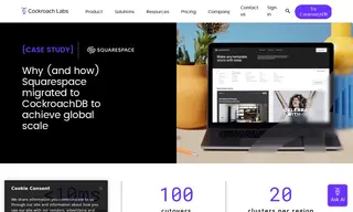Preview of the SquareSpace Case Study
