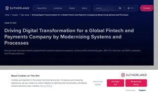 Preview of the Global Fintech and Payments Company Case Study