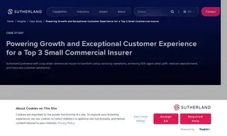 Preview of the Top 3 Small Commercial Insurer Case Study