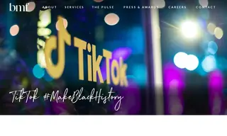 Preview of the TikTok Case Study