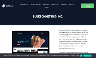 Preview of the BlueBonnet DSD, Inc Case Study