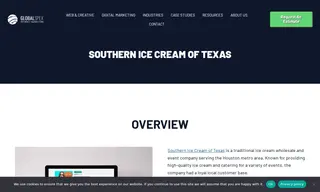 Preview of the Southern Ice Cream of Texas Case Study