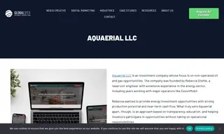 Preview of the Aquaerial LLC Case Study