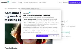 Preview of the Kamsma Case Study