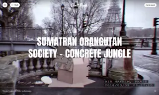 Preview of the Sumatran Orangutan Society (sos) Case Study
