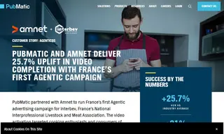 Preview of the Amnet Case Study