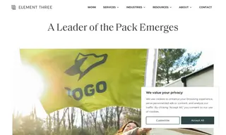 Preview of the Togo RV Case Study