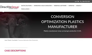 Preview of the Plastics Manufacturer Case Study
