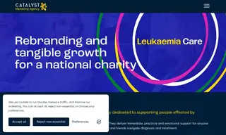Preview of the Leukaemia Care Case Study