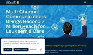 Preview of the Leukaemia Care Case Study