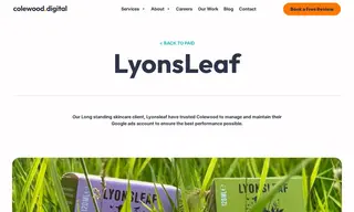 Preview of the Lyonsleaf Case Study