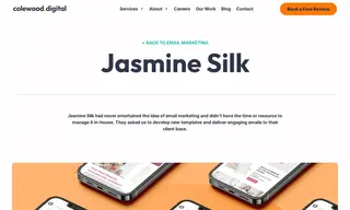 Preview of the Jasmine Silk Case Study