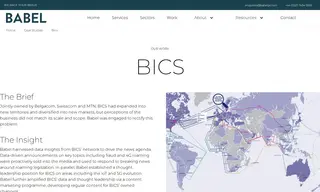 Preview of the BICS Case Study