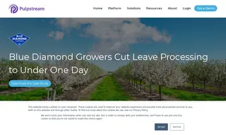 Preview of the Blue Diamond Growers Case Study