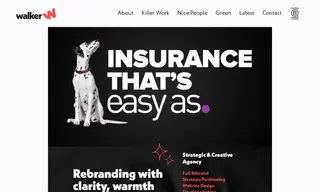 Preview of the Ageas Case Study