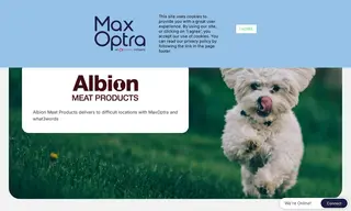 Preview of the Albion Meat Products Case Study