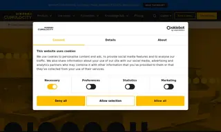 Preview of the Flow International Case Study