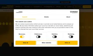Preview of the WAINS GmbH Case Study