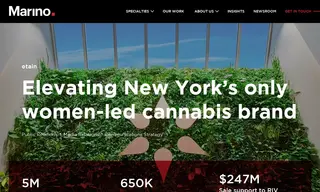 Preview of the Etain Case Study