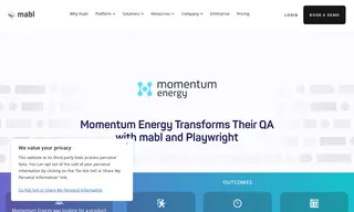 Preview of the Momentum Energy Case Study