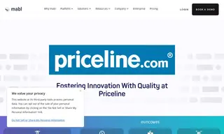 Preview of the Priceline Case Study