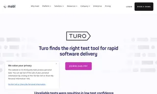 Preview of the Turo Case Study
