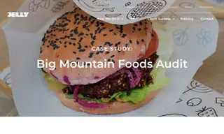 Preview of the Big Mountain Foods Case Study