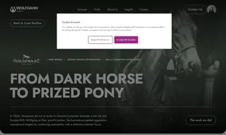 Preview of the Horseware Ireland Case Study