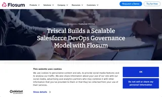 Preview of the Triscal Case Study