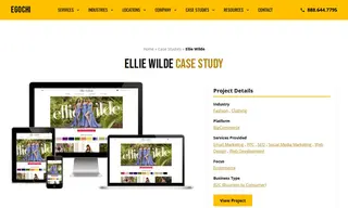 Preview of the Ellie Wilde Case Study