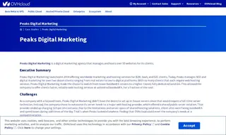 Preview of the Peaks Digital Marketing Case Study