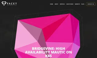 Preview of the Bridgevine Case Study