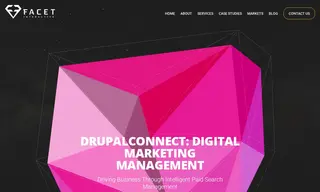 Preview of the Drupal Connect Case Study