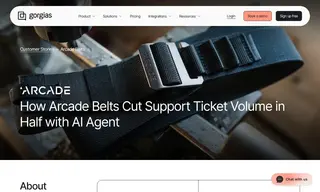 Preview of the Arcade Belts Case Study