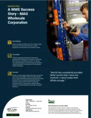 Preview of the MAG Wholesale Corporation (MAG) ﻿ Case Study