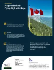 Preview of the Flags Unlimited Corporation Case Study
