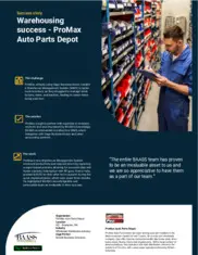 Preview of the Promax Auto Parts Depot Case Study